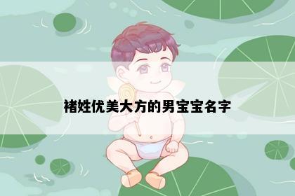 褚姓优美大方的男宝宝名字