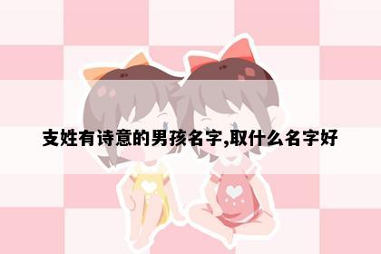 支姓有诗意的男孩名字,取什么名字好