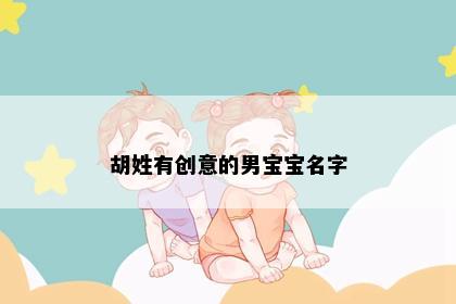 胡姓有创意的男宝宝名字